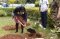 African Union's Youth Ambassador for Peace for East Africa Ms. Emma Nganga plants a tree on 21st September 2020.